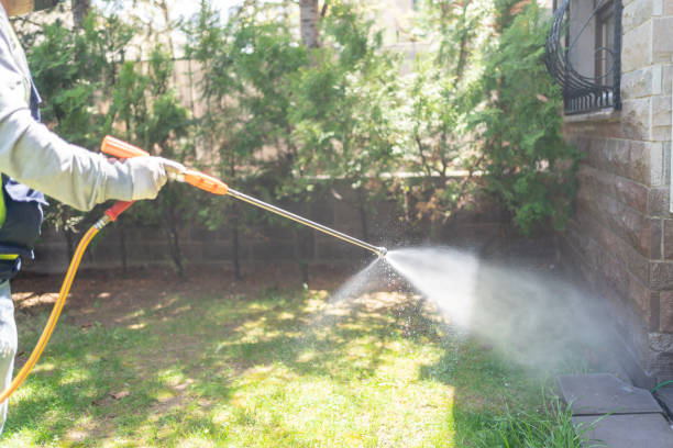 Best Seasonal Pest Control (e.g., summer mosquitoes, winter rodents)  in Fairview, TN